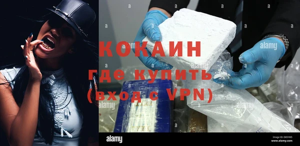 mdpv Богородицк